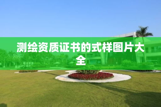 证书的式样图片大全