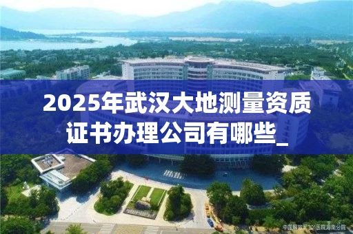 2025年武汉大地测量资质证书办理公司有哪些_