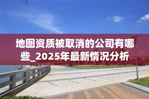 地图资质被取消的公司有哪些_2025年最新情况分析