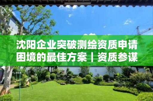 沈阳企业突破申请困境的最佳方案｜资质参谋揭秘全流程优化秘籍