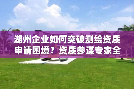 湖州企业如何突破申请困境？资质参谋专家全程指导高效获批