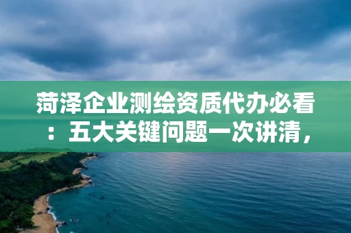 菏泽企业代办必看：五大关键问题一次讲清，省时省力避坑指南