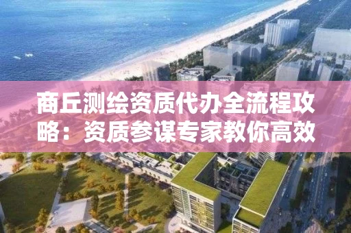 商丘代办全流程攻略：资质参谋专家教你高效完成申请