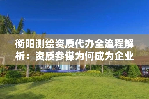 衡阳代办全流程解析：资质参谋为何成为企业首选？