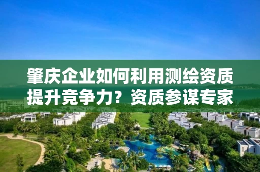 肇庆企业如何利用提升竞争力？资质参谋专家深度解析