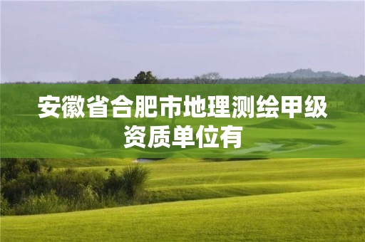 安徽省合肥市地理测绘甲级资质单位有
