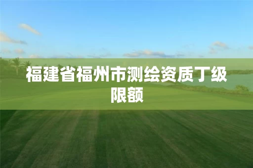 福建省福州市测绘资质丁级限额 福建省福州市测绘资质丁级限额