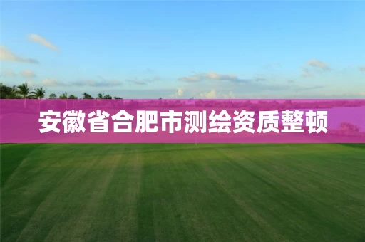 安徽省合肥市测绘资质整顿