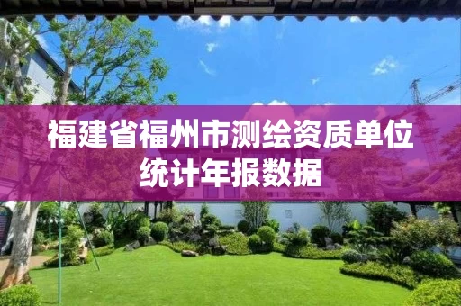 福建省福州市测绘资质单位统计年报数据