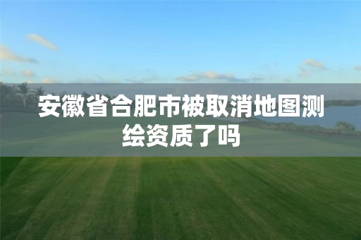 安徽省合肥市被取消地图测绘资质了吗