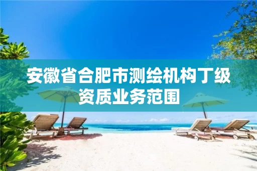 安徽省合肥市测绘机构丁级资质业务范围 安徽省合肥市测绘机构丁级资质业务范围