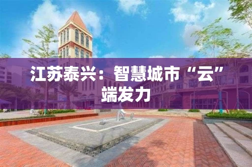 江苏泰兴：智慧城市“云”端发力