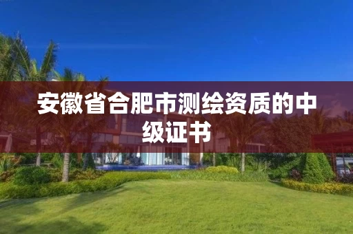 安徽省合肥市测绘资质的中级证书 安徽省合肥市测绘资质的中级证书