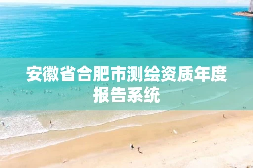 安徽省合肥市测绘资质年度报告系统