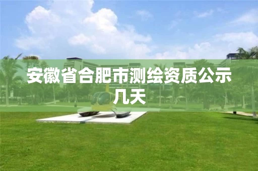 安徽省合肥市测绘资质公示几天