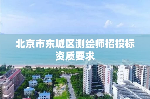 北京市东城区测绘师招投标资质要求