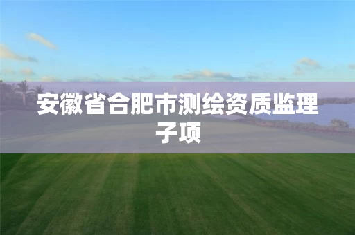 安徽省合肥市测绘资质监理子项