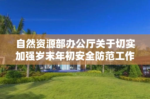 自然资源部办公厅关于切实加强岁末年初安全防范工作的通知