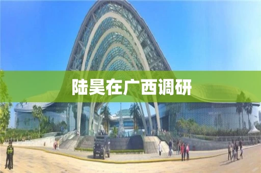 陆昊在广西调研