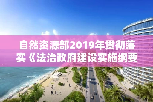 自然资源部2019年贯彻落实《法治政府建设实施纲要（2015-2020年）》情况