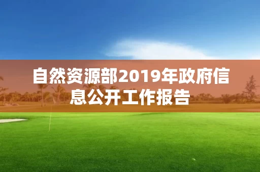 自然资源部2019年政府信息公开工作报告