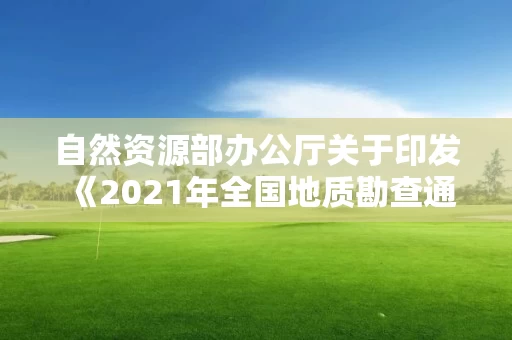 自然资源部办公厅关于印发《2021年全国地质勘查通报》的函