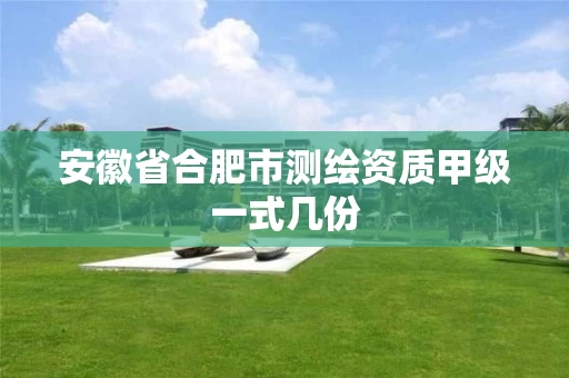 安徽省合肥市测绘资质甲级一式几份 安徽省合肥市测绘资质甲级一式几份