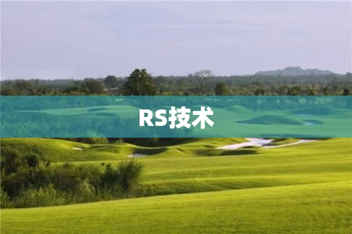 RS技术 RS技术