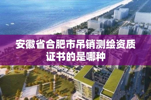 安徽省合肥市吊销测绘资质证书的是哪种