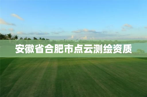 安徽省合肥市点云测绘资质