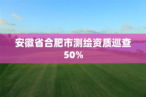 安徽省合肥市测绘资质巡查50%
