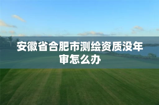 安徽省合肥市测绘资质没年审怎么办 安徽省合肥市测绘资质没年审怎么办