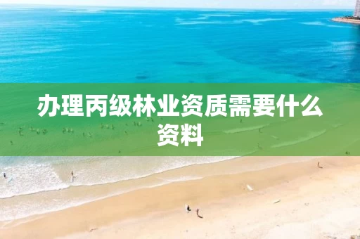 办理丙级需要什么资料