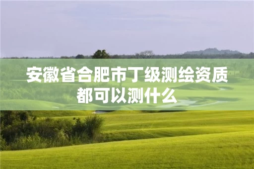 安徽省合肥市丁级测绘资质都可以测什么