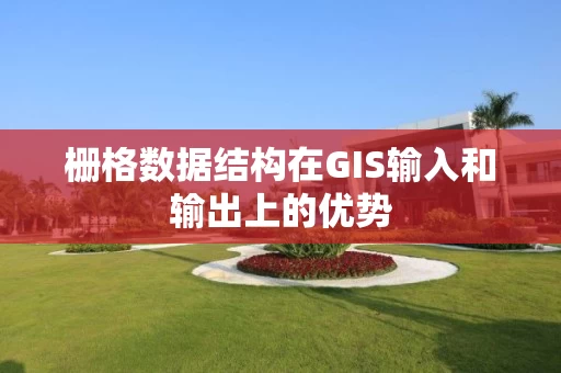 栅格数据结构在GIS输入和输出上的优势