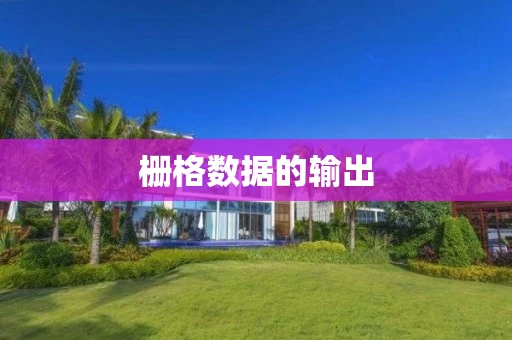 栅格数据的输出