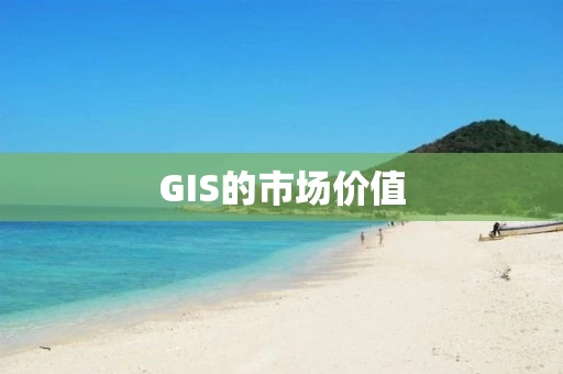 GIS的市场价值