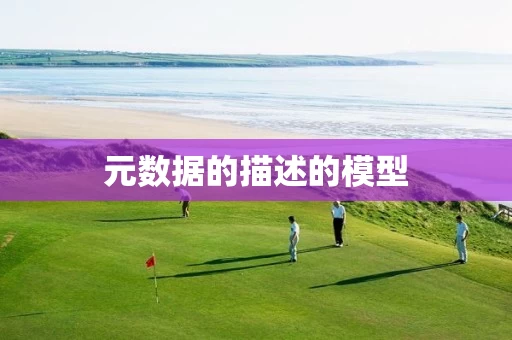 元数据的描述的模型