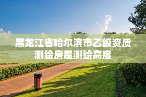 黑龙江省哈尔滨市乙级资质测绘房屋测绘高度