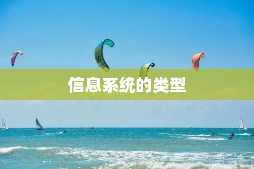信息系统的类型