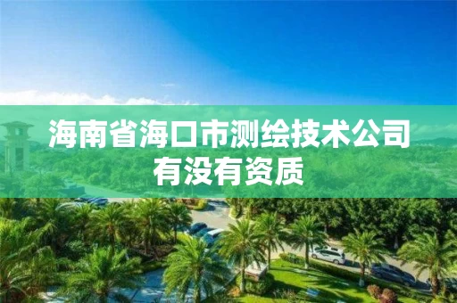 海南省海口市测绘技术公司有没有资质