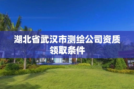 湖北省武汉市测绘公司资质领取条件