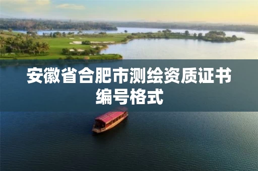 安徽省合肥市测绘资质证书编号格式
