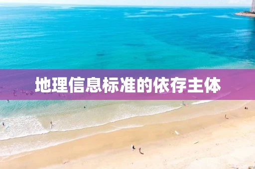 地理信息标准的依存主体