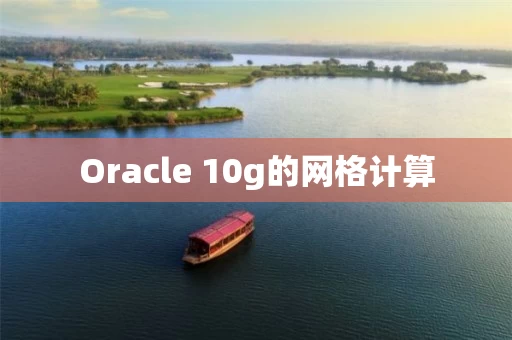 Oracle 10g的网格计算