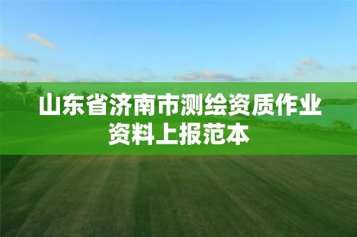山东省济南市测绘资质作业资料上报范本 山东省济南市测绘资质作业资料上报范本