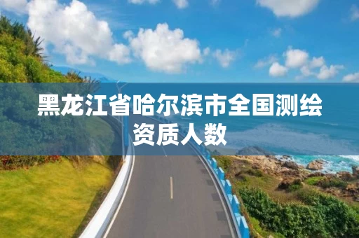 黑龙江省哈尔滨市全国测绘资质人数 黑龙江省哈尔滨市全国测绘资质人数