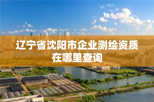辽宁省沈阳市企业测绘资质在哪里查询 辽宁省沈阳市企业测绘资质在哪里查询