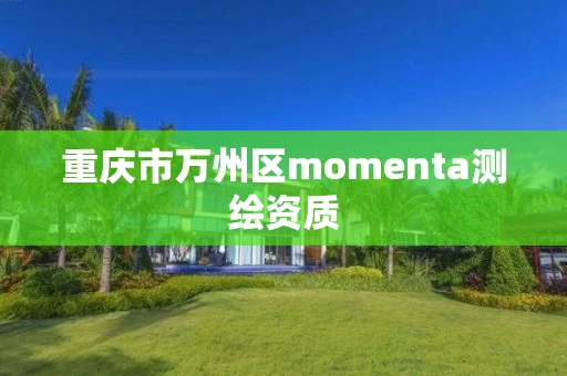 重庆市万州区momenta测绘资质 重庆市万州区momenta测绘资质