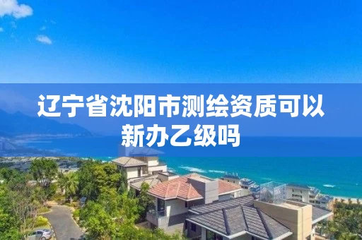 辽宁省沈阳市测绘资质可以新办乙级吗